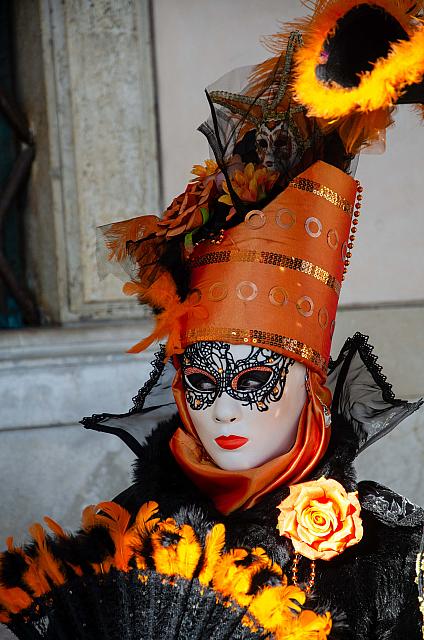 DSC 6926