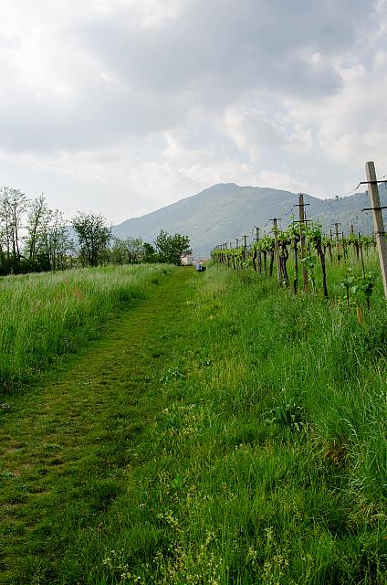 DSC 6389