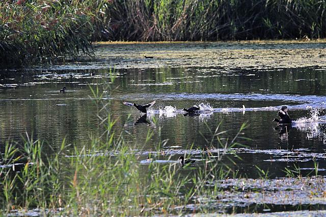 photo016