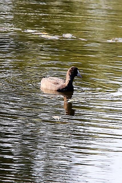 photo062