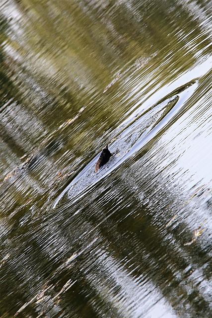 photo063
