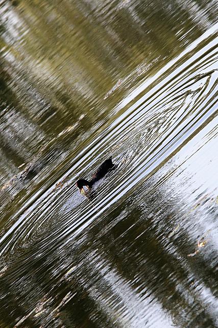 photo064