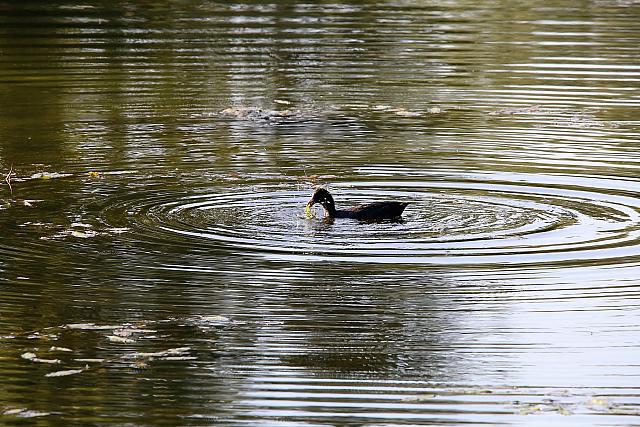 photo065