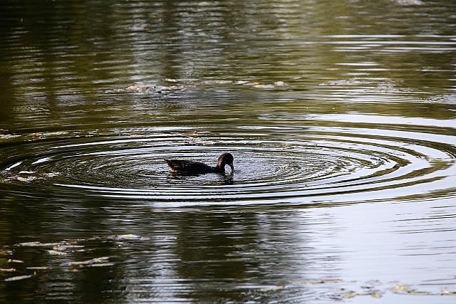 photo067