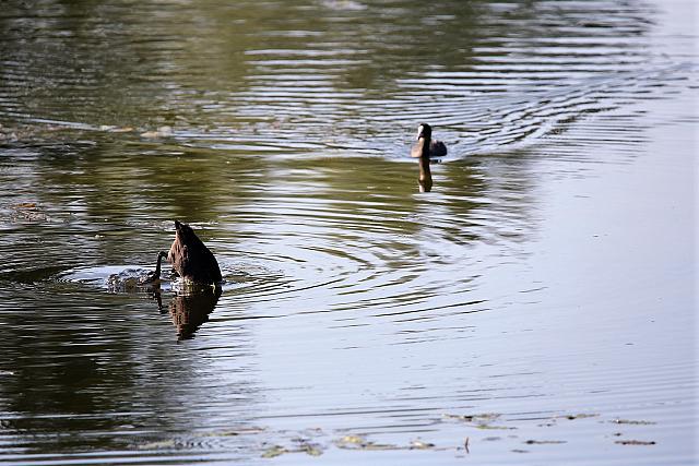 photo071