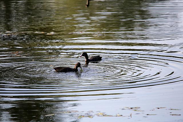 photo072