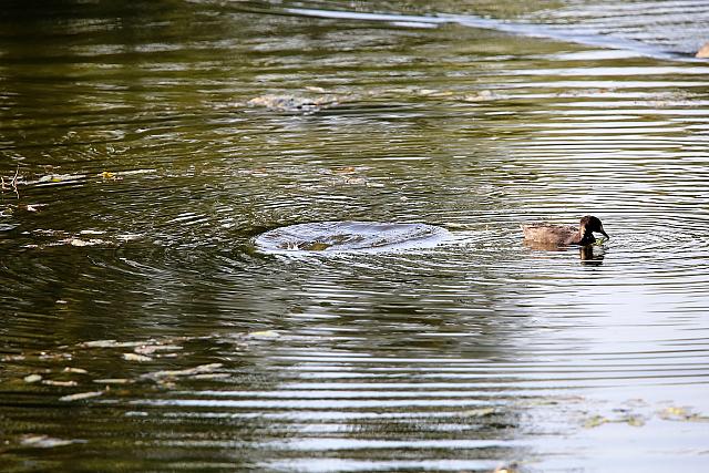 photo074