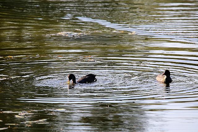 photo075