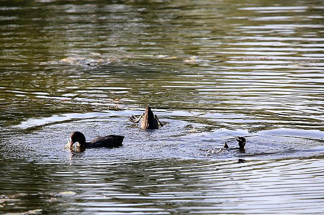 photo077
