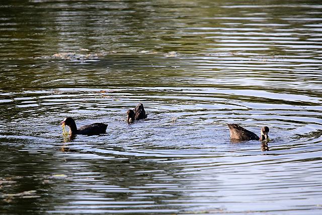 photo078