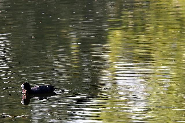 photo095