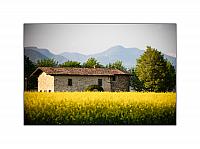 foto mostra38