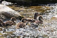 IMG 3069