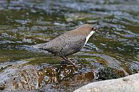 IMG 3092