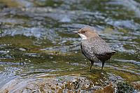 IMG 3099