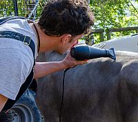 DSC 2800