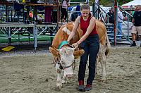 DSC 8233