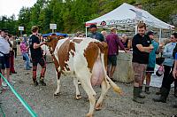 DSC 8373