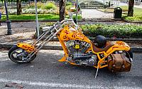 DSC 2137