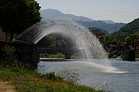 DSC 7719