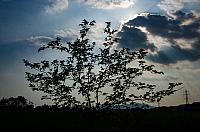 DSC 6430
