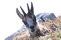 IMG 0897