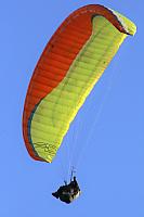 IMG 3393 (2)